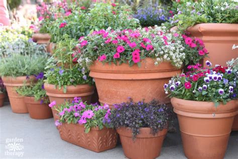 The Secrets to Successful Container Gardening