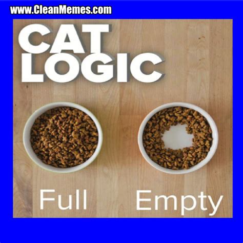 Cat Logic – Clean Memes