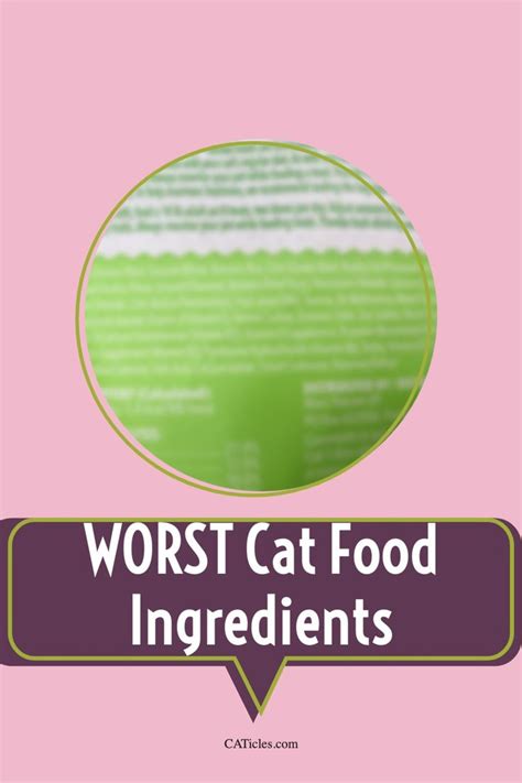 Ingredients in Cat Food (What to AVOID and Why) in 2021 | Cat food, Cat food reviews, Cat nutrition