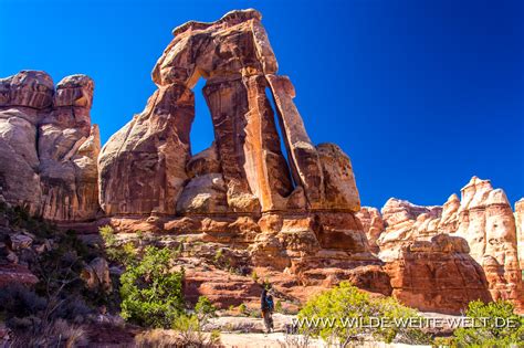 Druid Arch & Chesler Park - Canyonlands National Park / Needles District [Utah] - www.wilde ...