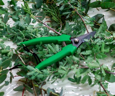 The 10 Best Pruning Shears