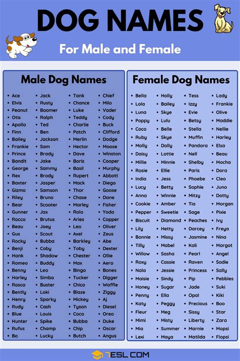 Pin by Jeni Kopriva on DIY DOG IDEAS | Female dog names, Cute names for dogs, Cute puppy names