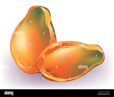 Dry fruits Stock Vector Images - Alamy