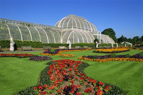 Kew Gardens launches annual 'health check' of the world's plants in ambitious new project ...