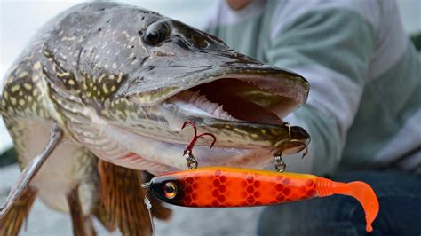 The 10 Best Pike Lures for a Good Catch- WooFish.com