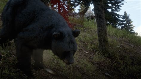 Black Bear hunt : r/reddeadredemption2