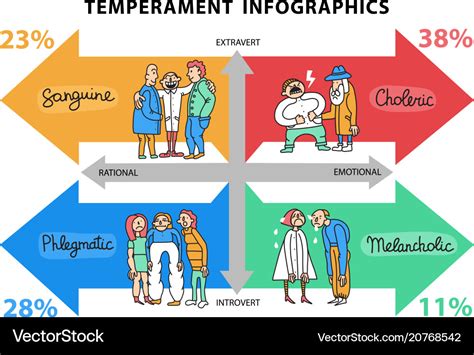 Temperament types infographics Royalty Free Vector Image