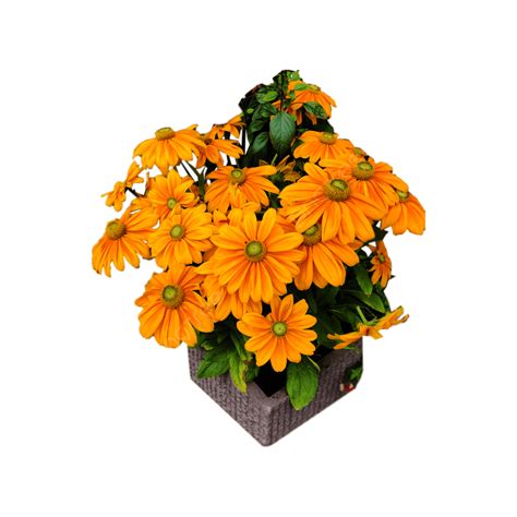 Vase Flowers PNG Image, Yellow Flower Vase Png, Flower, Flower Vase, Flower Pot PNG Image For ...