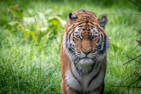 Blackpool Zoo | Visitor Information & Attractions