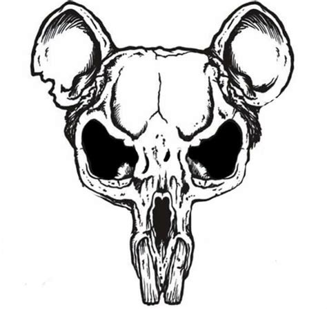 Rat Skull Drawing | Free download on ClipArtMag