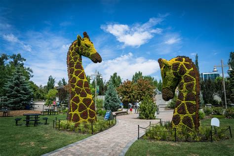 5 Things to See and Do at the Wilder Institute/Calgary Zoo this Summer - Avenue Calgary