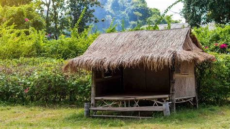 Bamboo Construction: Beginner Guide To Building With Bamboo ...