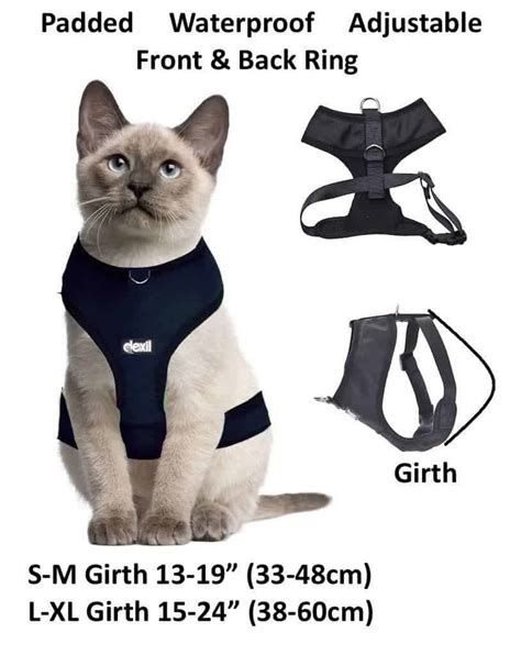 The Best Cat Harness that Your Cat Will Love - OliveKnows