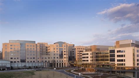 Chancellor Carol L. Folt and Chair Dale Jenkins announce search ...