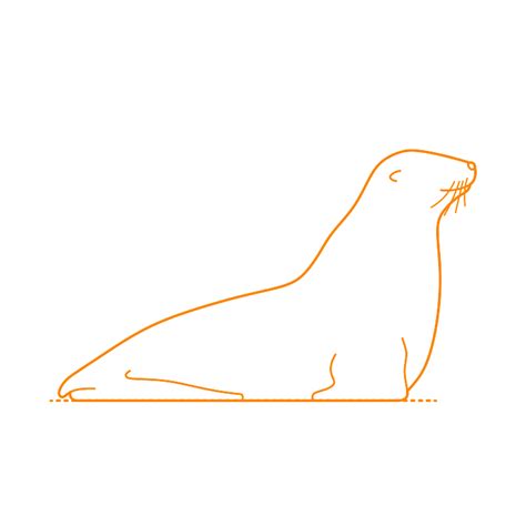 Seals | Pinnipedia Dimensions & Drawings | Dimensions.com