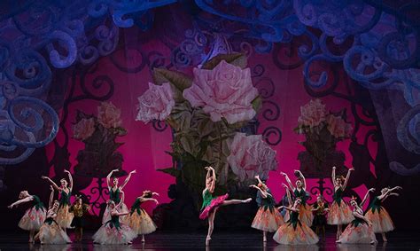 The Nutcracker Photo Gallery - Posts - Cincinnati Ballet