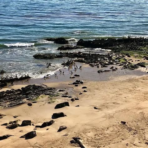 Carpinteria State Beach, California: Locations & Photos - Amazingworld