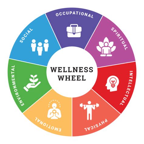 What is Whole-Person Wellness and Why Is It Important?