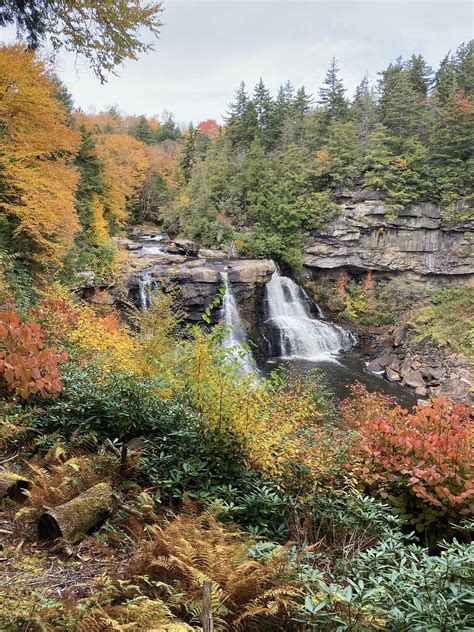 Blackwater Falls State Park West - Free photo on Pixabay - Pixabay