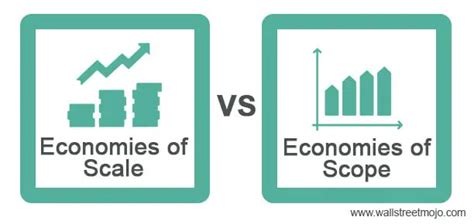 Economies of Scale vs Economies of Scope | Top 8 Differences