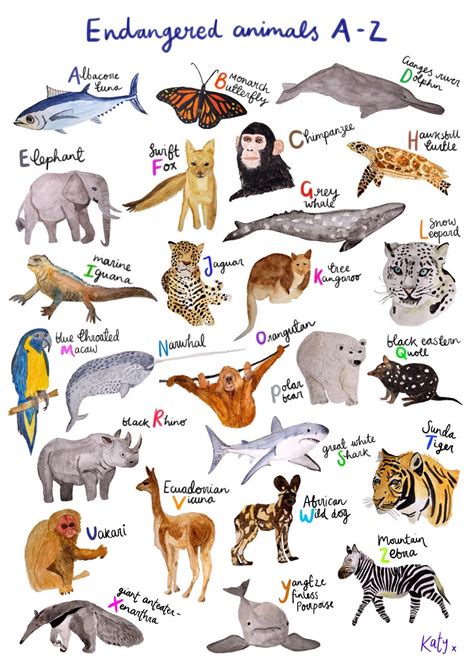 A4 Endangered Animals A-Z Print unframed - Etsy