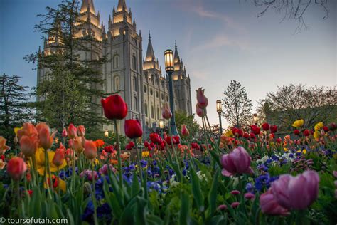 Spring flowers are making their appearance on the Temple Square ...