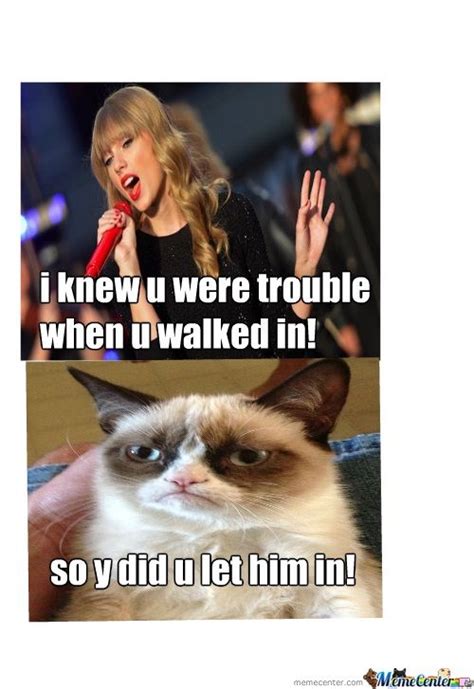 Taylor And Cat Meme | elderlyharrypotterfans