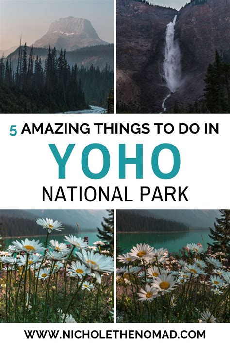 Yoho national park maps and books – Artofit