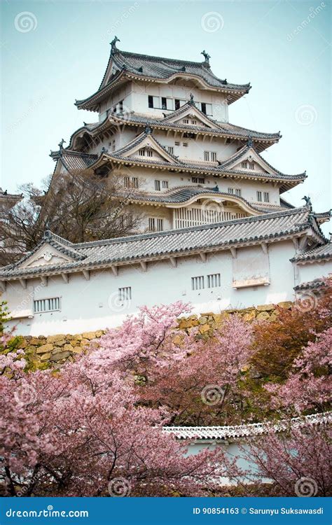 Himeji Castle with the Cherry Blossoms Stock Image - Image of history, blue: 90854163