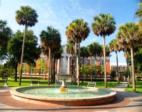 stetson university on Tumblr