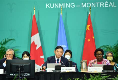 Kunming-Montreal Global Biodiversity Framework adopted at COP15 - BELT ...