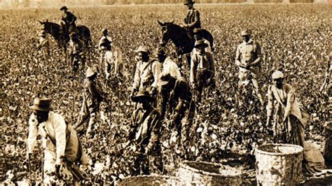 why did african americans prefer sharecropping to wage labor ...