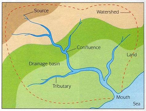 The Drainage Basin by Patricia Kokkinou | Social studies middle school, Earth science middle ...
