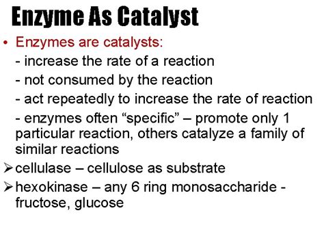 ENZYME BIOLOGICAL CATALYST Enzyme As Catalyst All enzymes