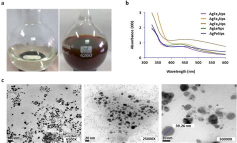 Synthesis and characterization of biosynthesized silver nanoparticles... | Download Scientific ...