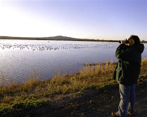 Birding New Mexico | Audubon New Mexico