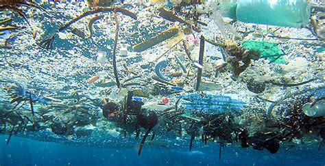 Theme Week 1: Marine Debris – Blue Ocean Society for Marine Conservation