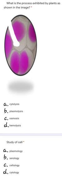 Answered: What is the process exhibited by plants… | bartleby