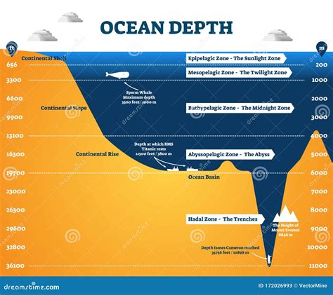 Oceanography Diagram