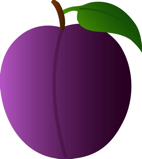 Real plum clipart 20 free Cliparts | Download images on Clipground 2024