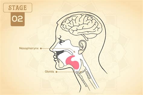 Khechari Mudra (Tongue Lock): Steps, Benefits & More – Fitsri Yoga