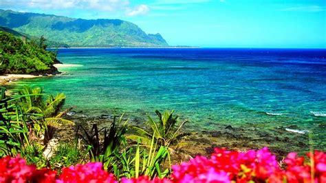 Hawaii Beach Background Zoom, Zoom Backgrounds HD Wallpaper Pxfuel ...