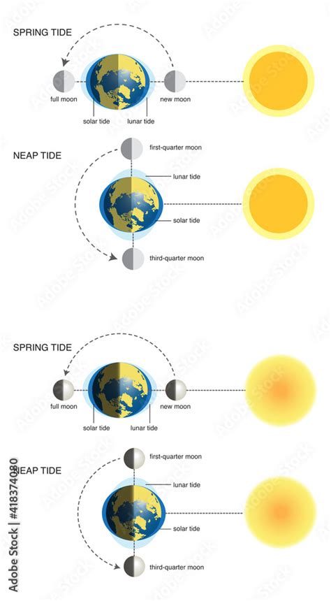 vector illustration of spring tide and neap tide (diagram):2 different versions Stock Vector ...