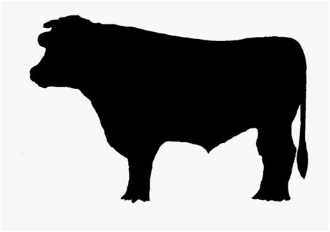 bull outline clipart 10 free Cliparts | Download images on Clipground 2024