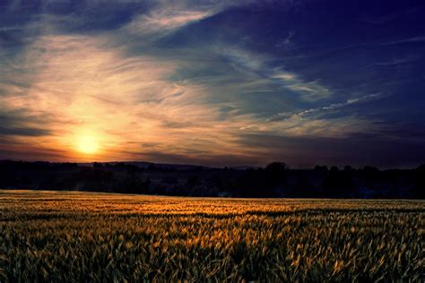 Sunset Field by BELFASTBAP on DeviantArt