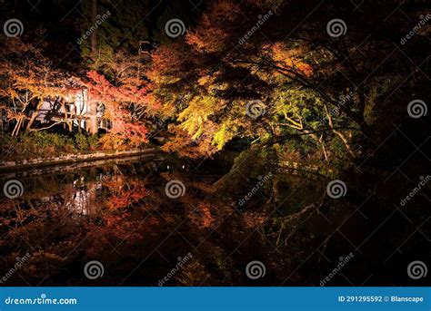 Light Up Autumn Leaves with Reflection at Kiyomizu Dera, Kyoto Stock ...