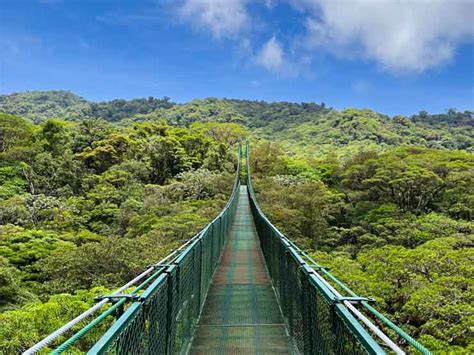 Qué hacer en MONTEVERDE: Bosque Nuboso, Canopy y más!