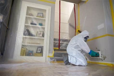 Mold Removal Asheville NC | First Restoration Services