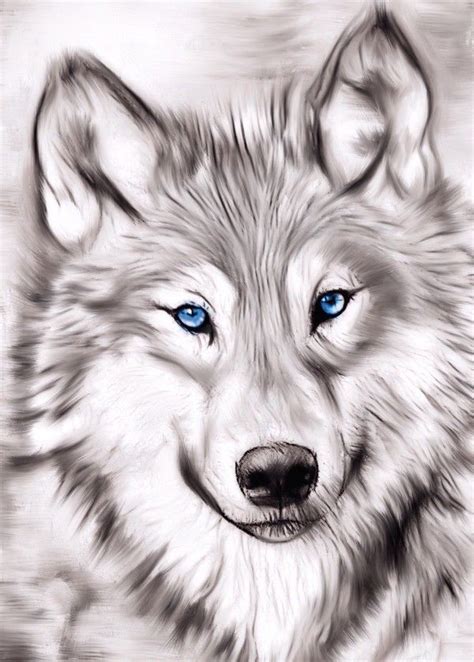 Displate | Wolf with blue eyes, Wolf painting, Dog drawing