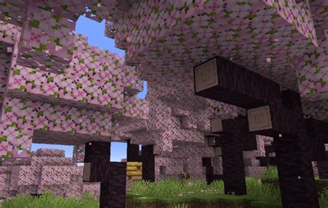 'Minecraft' is getting a cherry blossom biome in massive update 1.20